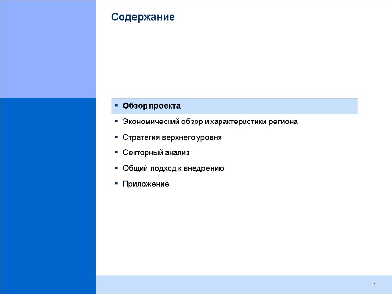 1  Содержание Обзор проекта Экономический обзор и характеристики региона Стратегия верхнего уровня Секторный